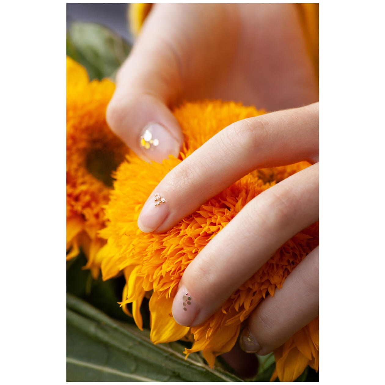 Yellow Yellow